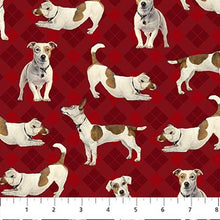 Load image into Gallery viewer, For the Love of Pete