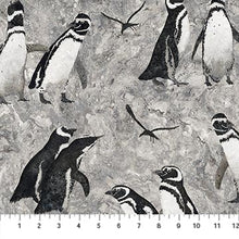 Load image into Gallery viewer, Naturescapes - Birds