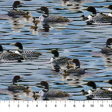 Load image into Gallery viewer, Naturescapes - Birds