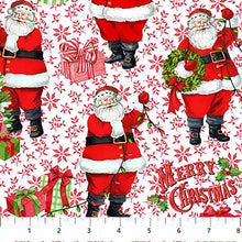 Load image into Gallery viewer, Vintage Christmas
