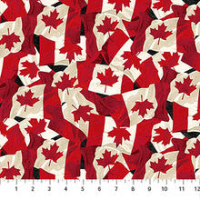 Load image into Gallery viewer, Canadian Classic 3
