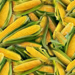 Load image into Gallery viewer, Fruits and Vegetables
