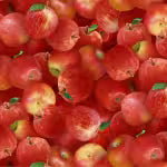 Load image into Gallery viewer, Fruits and Vegetables
