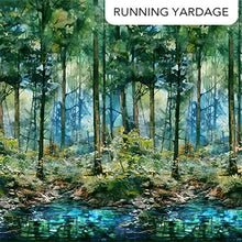 Load image into Gallery viewer, Serenity Springs
