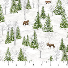 Load image into Gallery viewer, Winter Woodland
